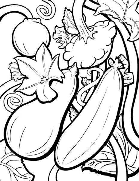 Кабачок черно белая картинка