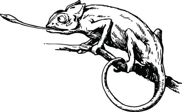 Хамелеон Графика вектор