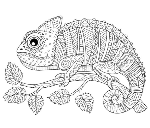 Раскраски сложные хамелеон