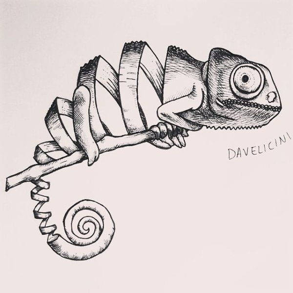 Стилизованное изображение хамелеона