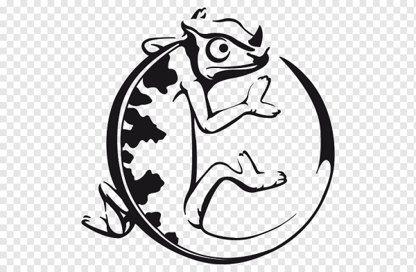 Хамелеон символ