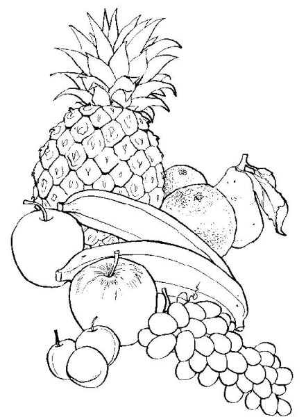 Натюрморт раскраска для детей