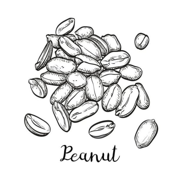 Арахис контур