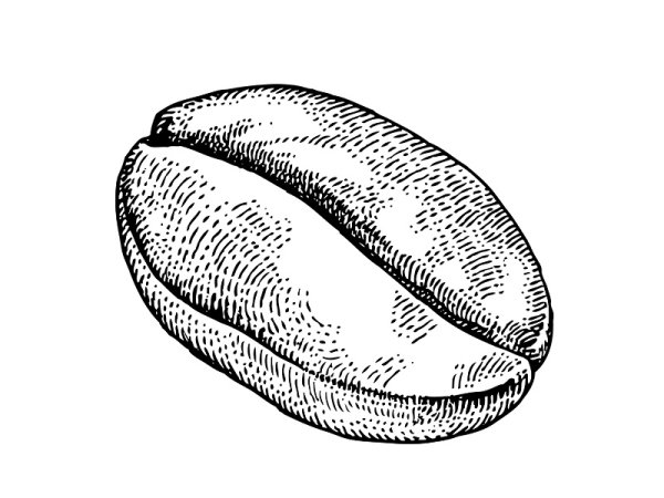 Зерно раскраска