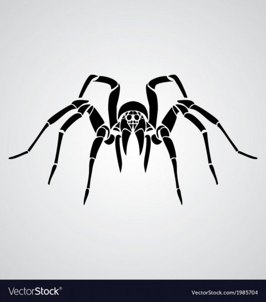 Трафарет тату паук