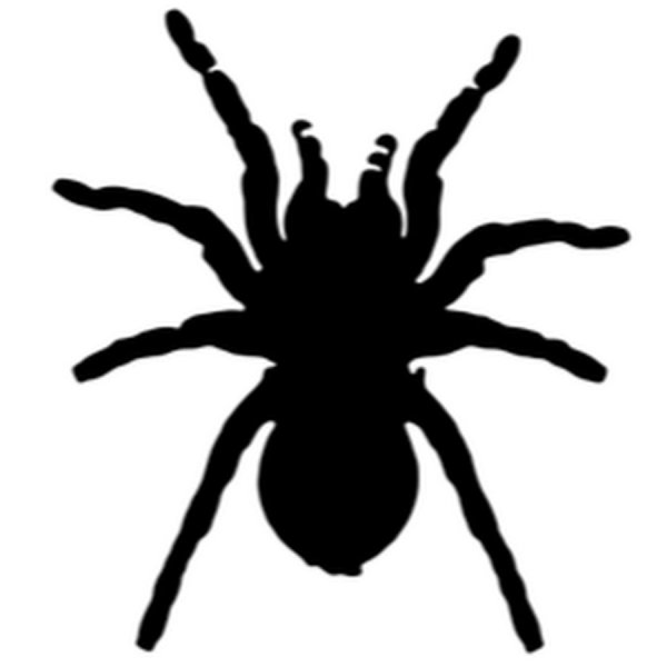 Белый силуэт паука на белом фоне