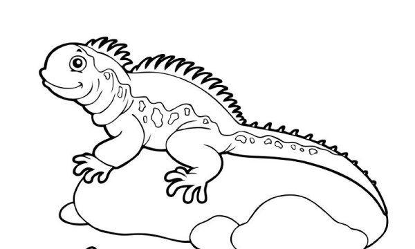 Iguana раскраска для детей