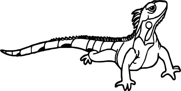 Игуана рисунок