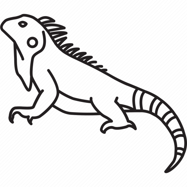 Игуана раскраска для детей