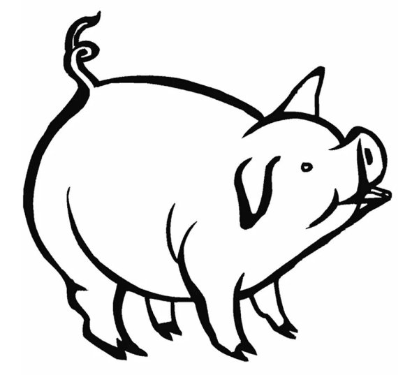 Раскраска свинья