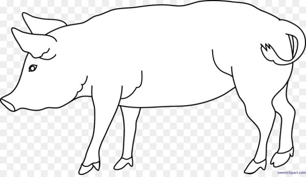 Картинки для раскрашивания свинья