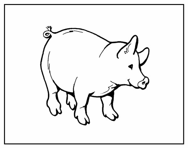 Поросенок раскраска на прозрачном фоне