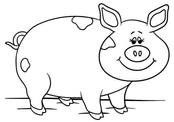 Поросенок черно белый