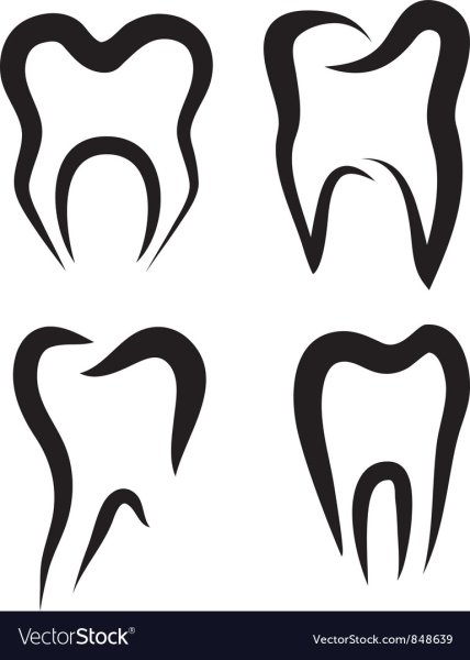 Графическое изображение зуба