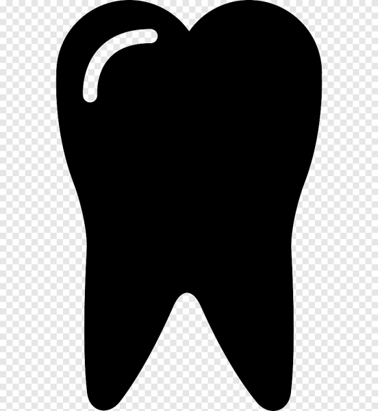 Очертания зуба