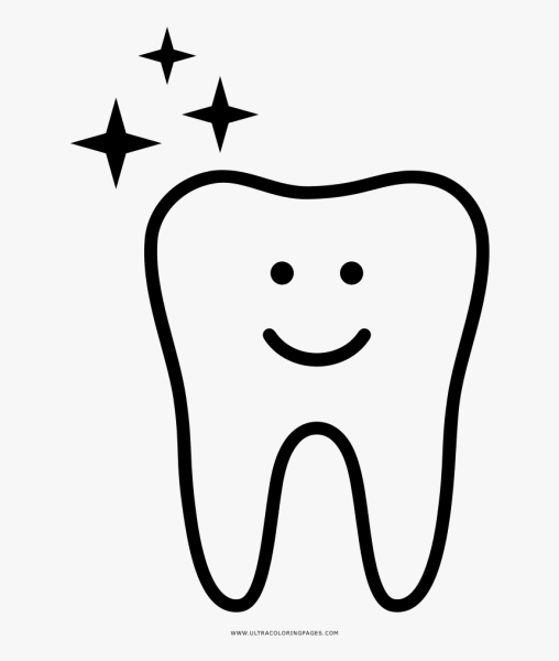 Контур зубов