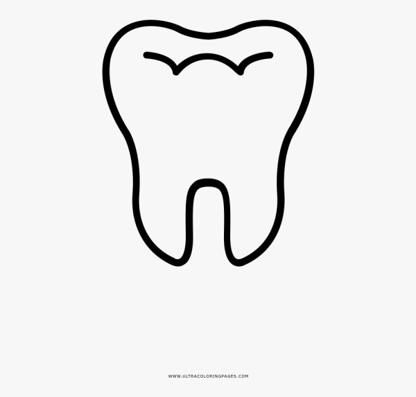 Зуб для распечатки