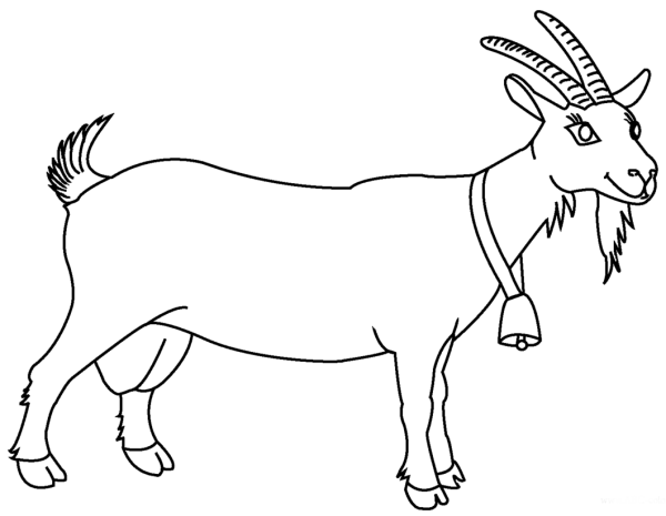 Раскраска домашние животные