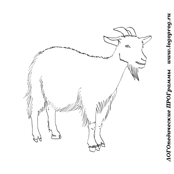 Графическое изображение козы