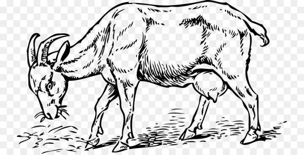 Коза раскраска для детей