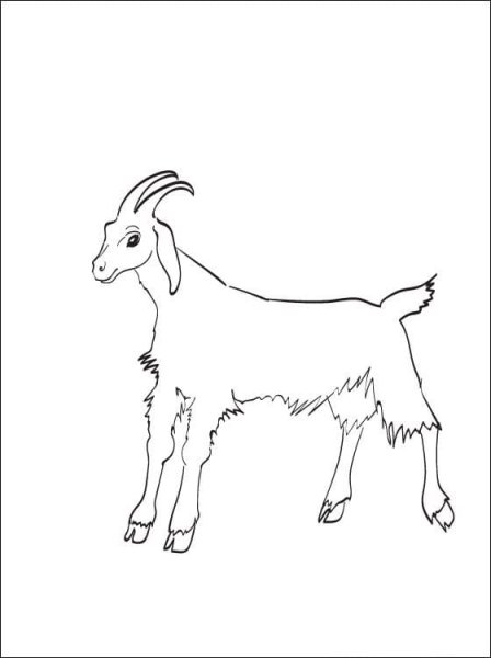 Коза раскраска