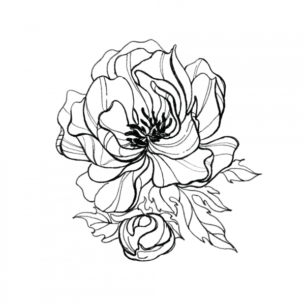 Пионы стилизация