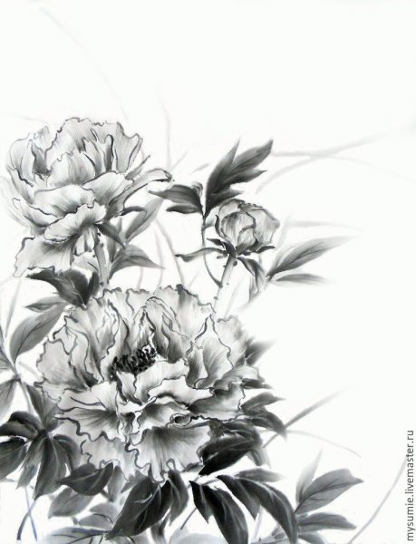 Картина пионы черно белая