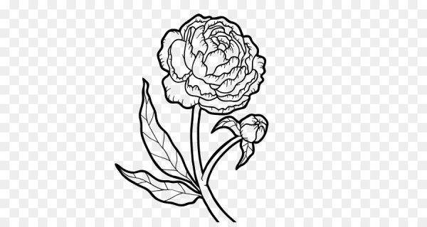 Пионы для раскрашивания черно-белые