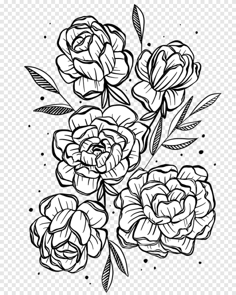 Раскраска букет пионов