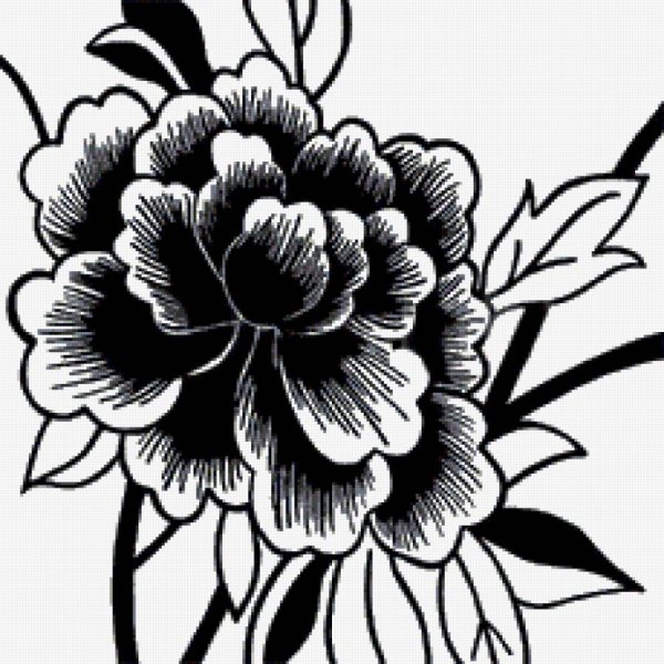 Цветы черно белые растровые