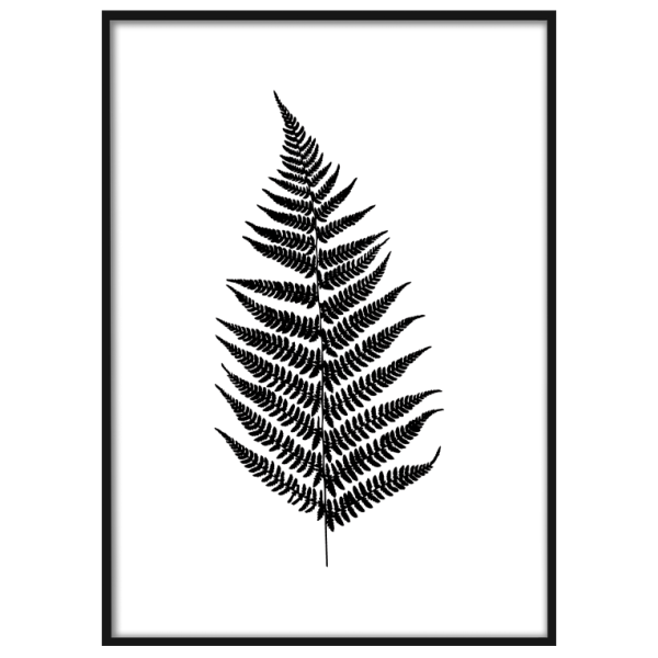 Папоротник Постер Сканди