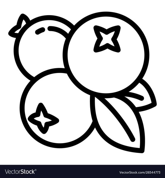 Черника контур