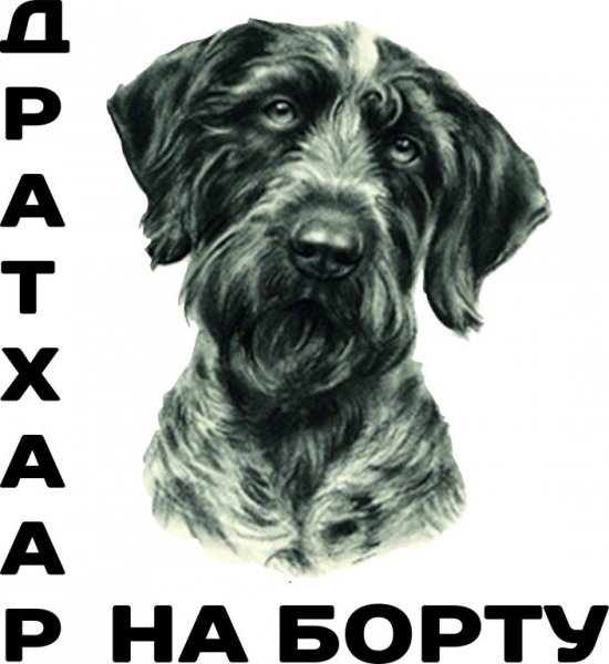 Наклейка дратхаара на автомобиль