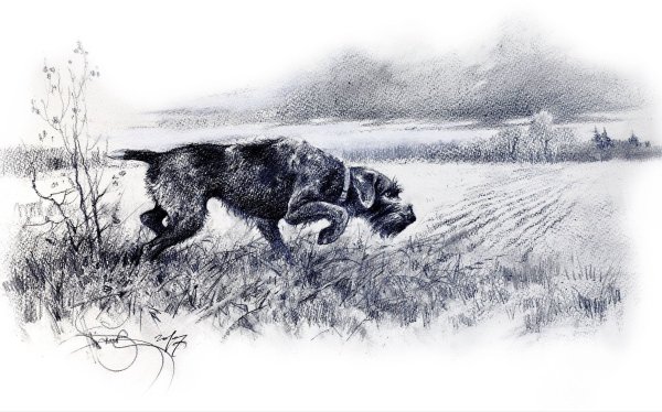 Охота рисунок