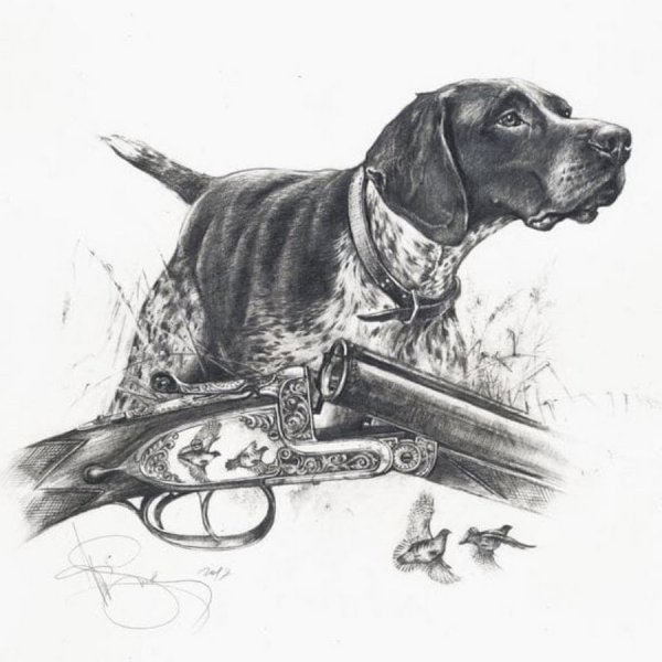 Охотничьи зарисовки