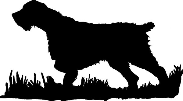 Силуэт Дойч дратхаар