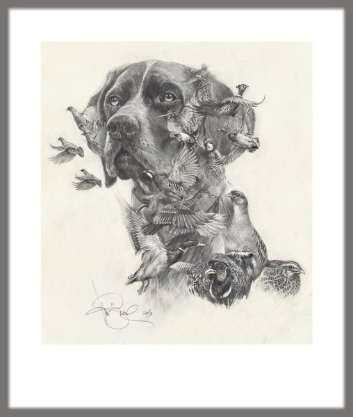 Дратхаар гравюра