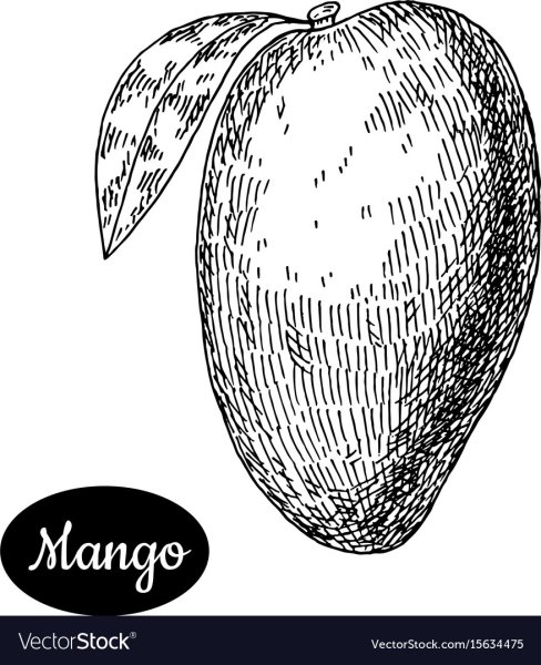 Наброски манго стиле