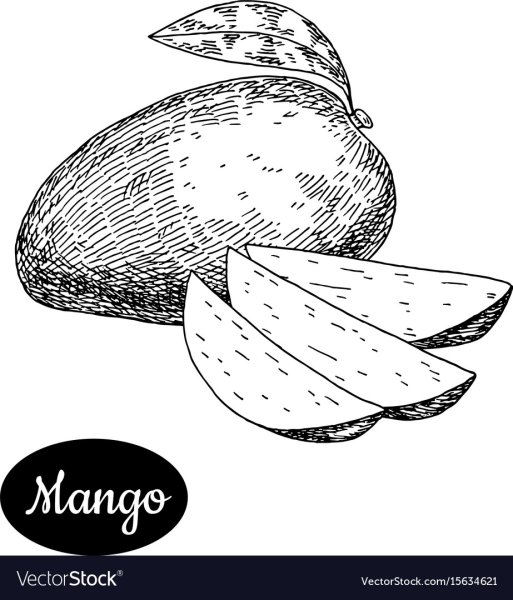 Манго карандашом