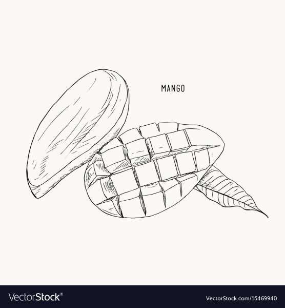 Манго скетч