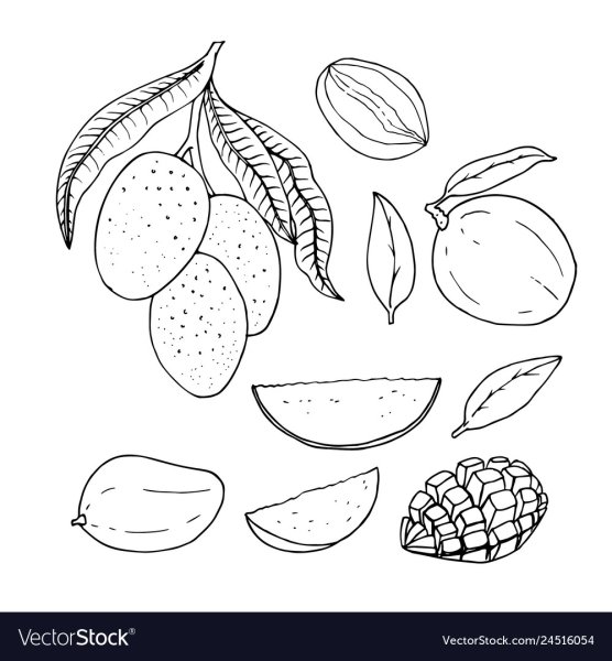 Манго рисунок