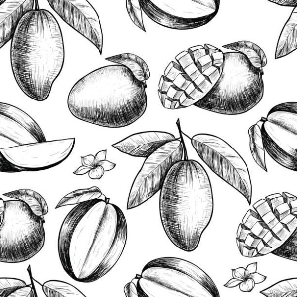 Манго Графика