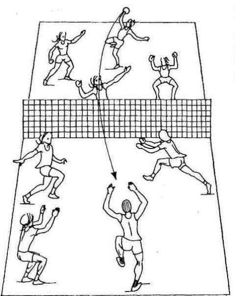 Схемы тренировок по волейболу