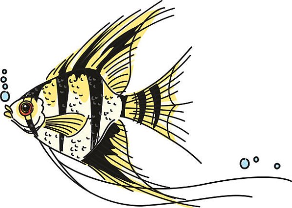 Скалярия вектор