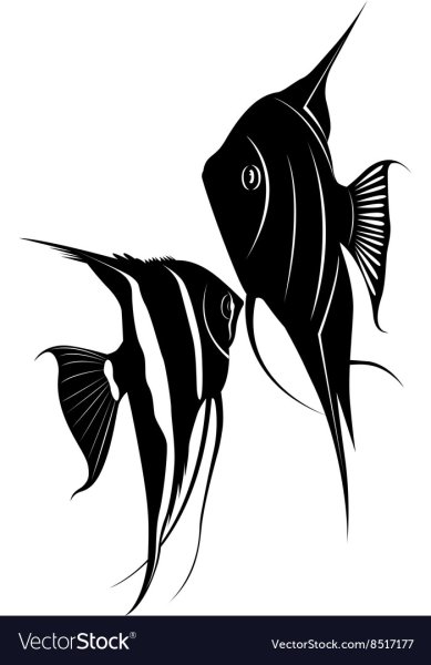 Скалярия тату