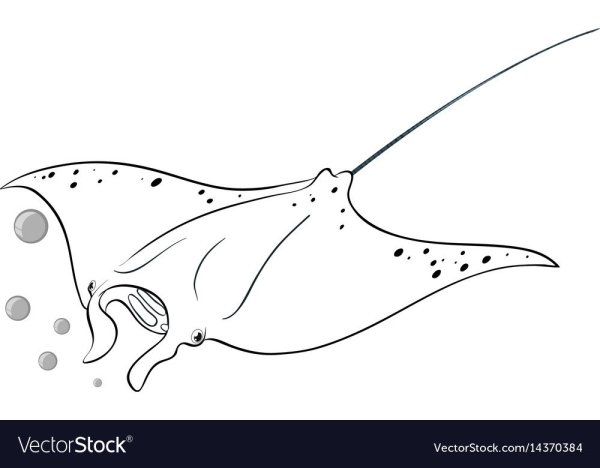 Рыба Скат контур