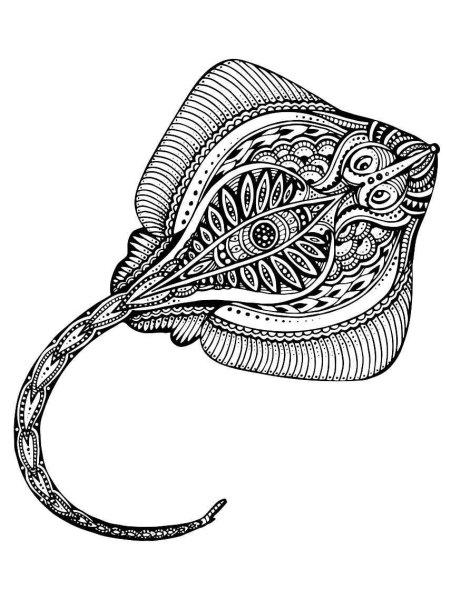 Скат Графика