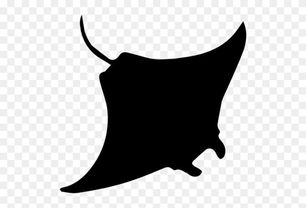 Скат значок