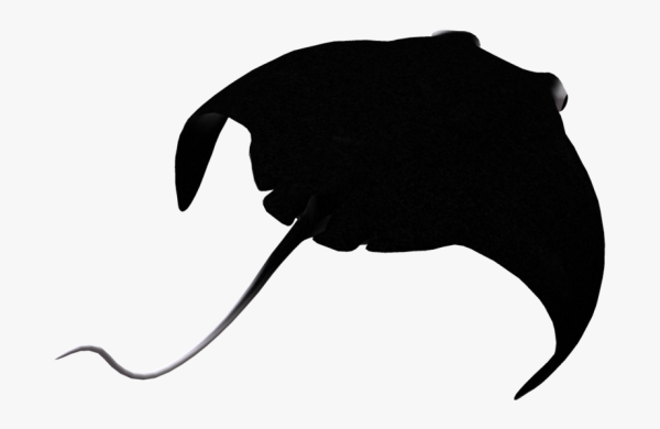 Скат силуэт