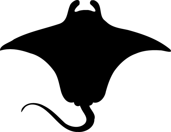 Скат вектор